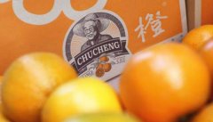 线上炒股配资：当下最受欢迎的投资方式