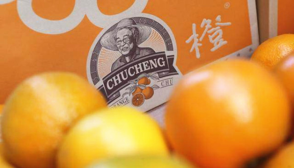线上炒股配资:当下最受欢迎的投资方式