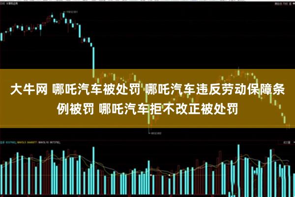 大牛网 哪吒汽车被处罚 哪吒汽车违反劳动保障条例被罚 哪吒汽车拒不改正被处罚