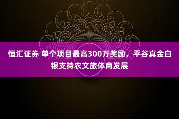 恒汇证券 单个项目最高300万奖励,平谷真金白银支持农文旅体商发展
