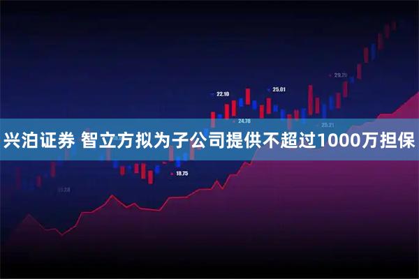 兴泊证券 智立方拟为子公司提供不超过1000万担保