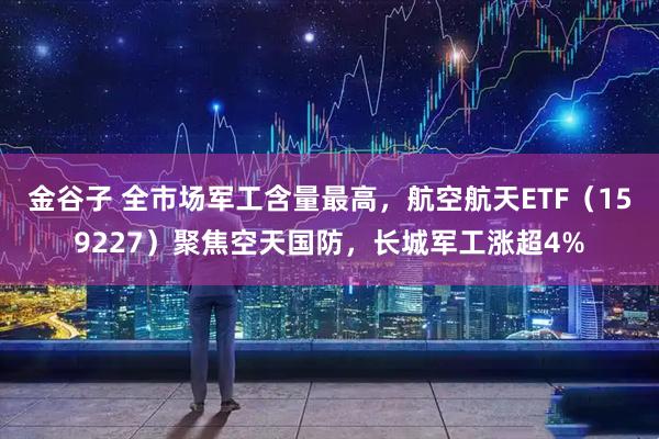 金谷子 全市场军工含量最高，航空航天ETF（159227）聚焦空天国防，长城军工涨超4%