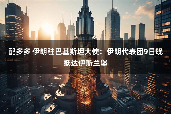 配多多 伊朗驻巴基斯坦大使：伊朗代表团9日晚抵达伊斯兰堡